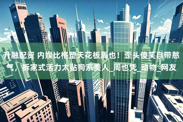 升融配资 内娱比格塑天花板周也！歪头傻笑自带憨气，拆家式活力太贴狗系美人_周也凭_动物_网友